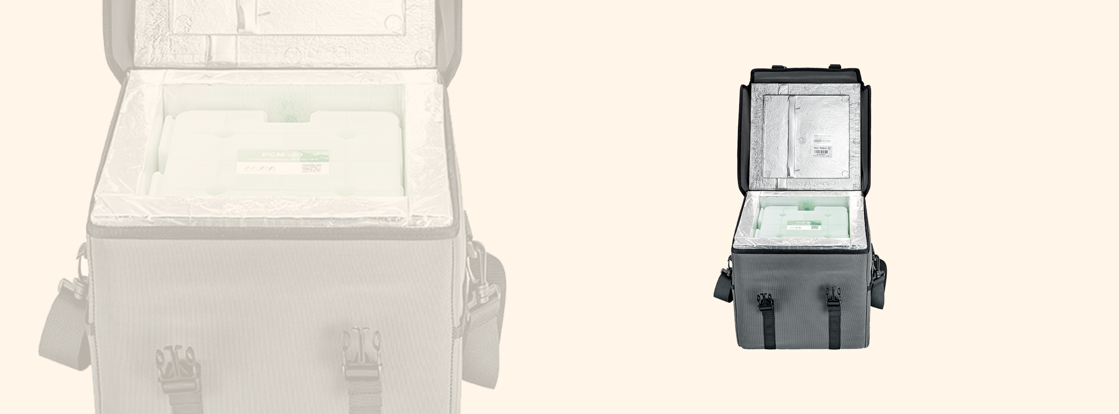 Accompanied Transport